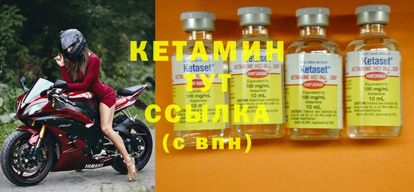 индика Краснотурьинск