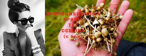 кокаин Кулебаки
